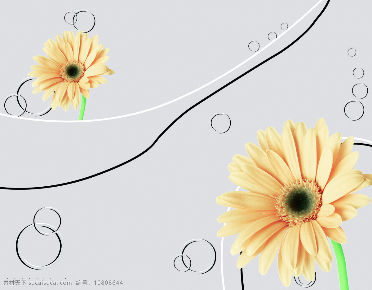 向阳花 装饰画 效果图 花朵 坚强 韧性 装饰图
