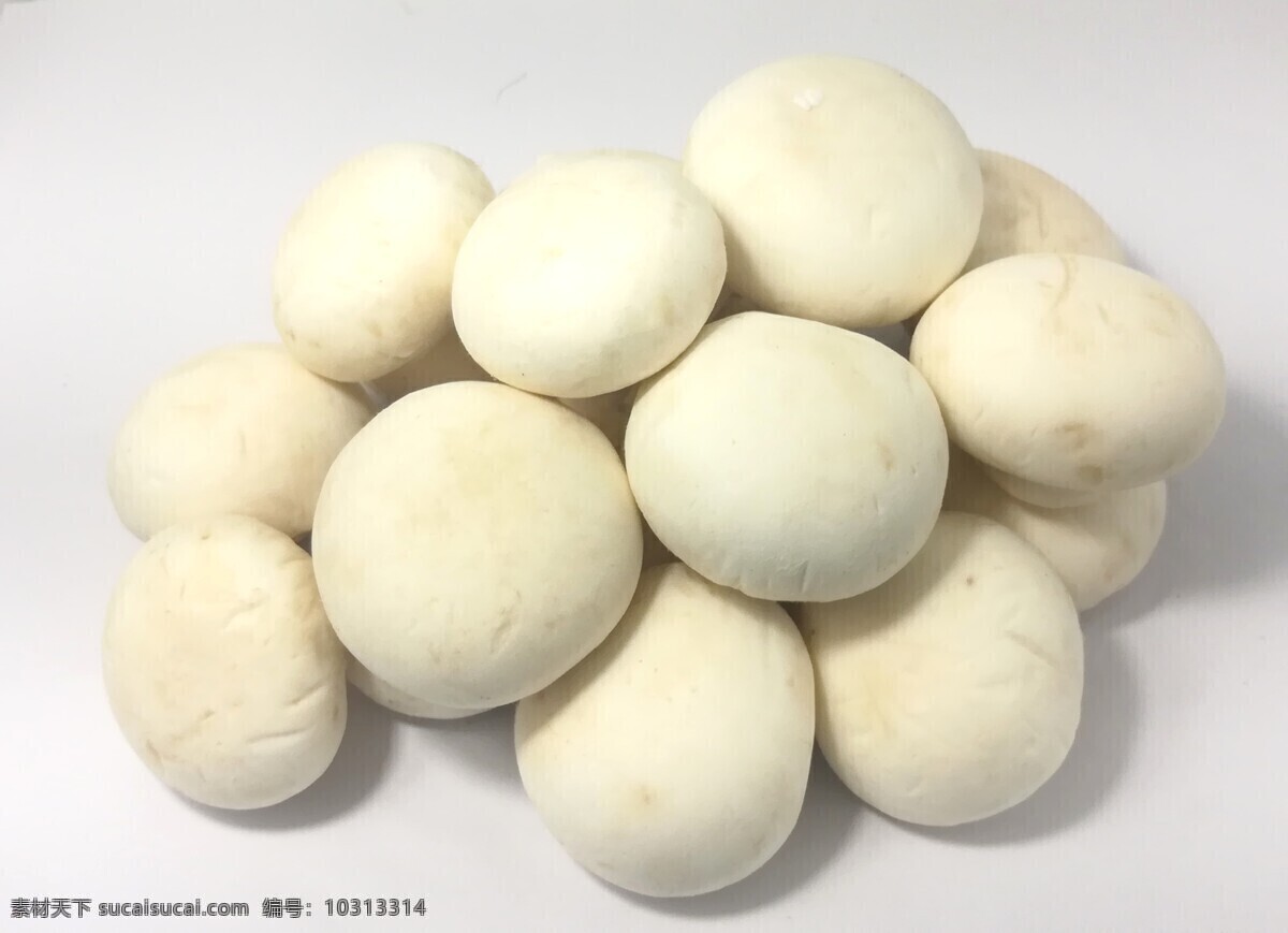 口蘑 蔬菜 蘑菇 食品原材料 食品 原材料 蔬菜图片 食品原料图片 美食 美食图片 蔬菜摄影 餐饮美食 食物原料