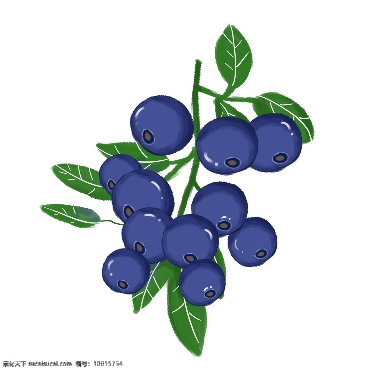 免 扣 水果 蓝莓 元素 矢量蓝莓水果 卡通蓝莓 矢量插画 美味水果 营养水果 蓝莓免扣 蓝莓png