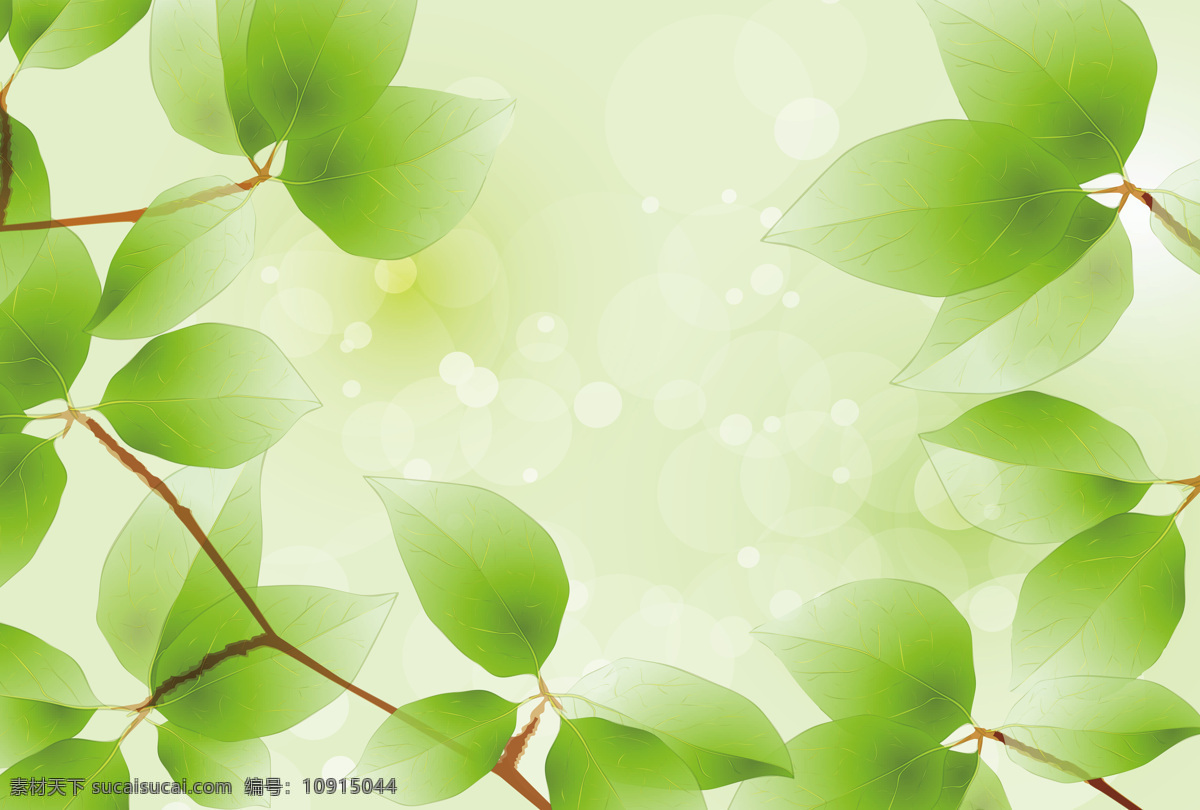 绿叶 装饰画 清新 自然 淡雅