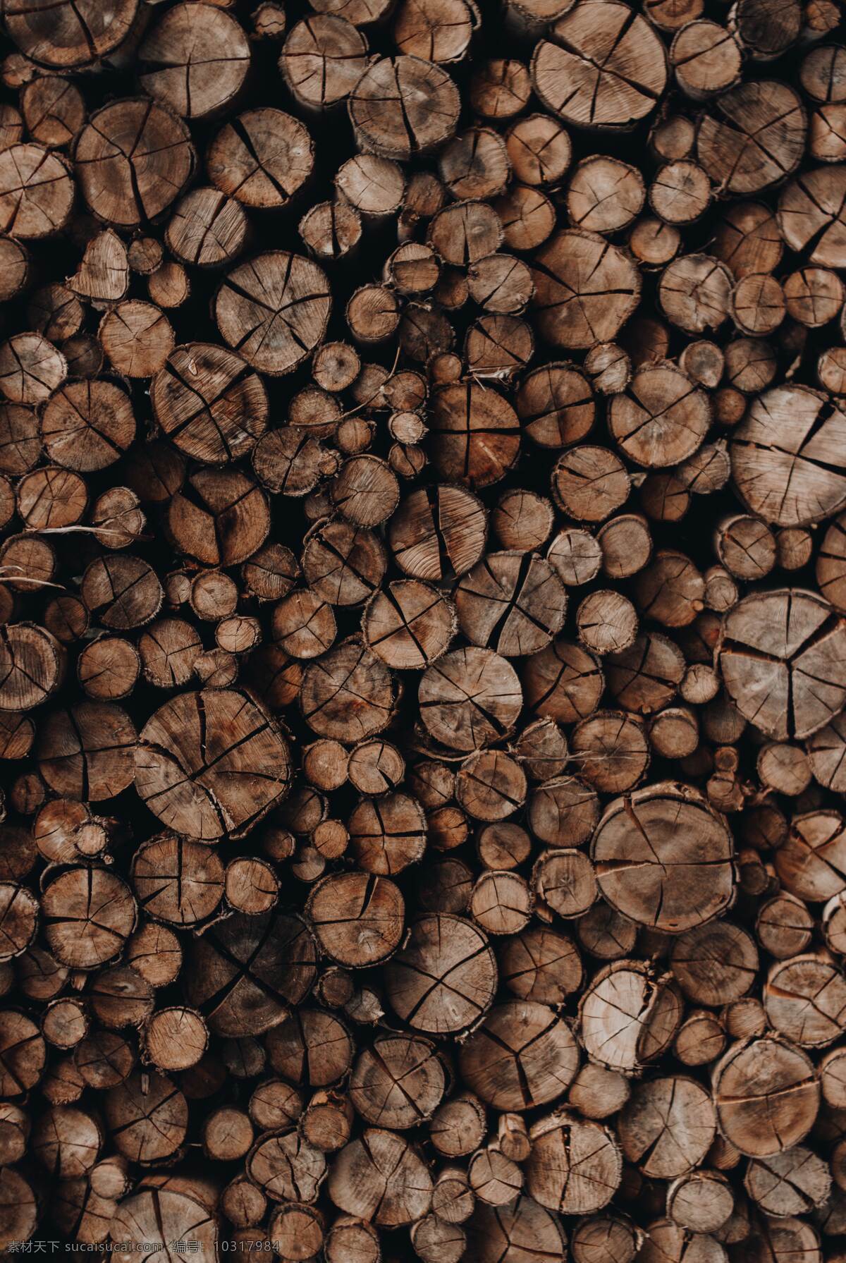 木材 木料 材料 材质 木纹 旅游摄影 国内旅游