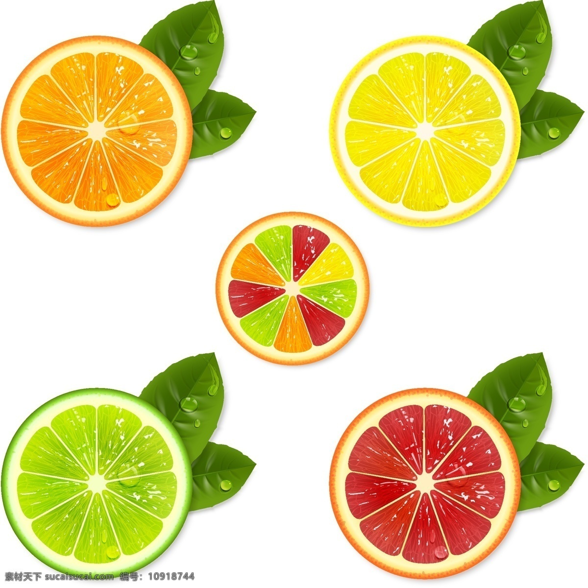彩色 柠檬 切片 橙子 卡通水果 绿叶 树叶 叶子 矢量 高清图片