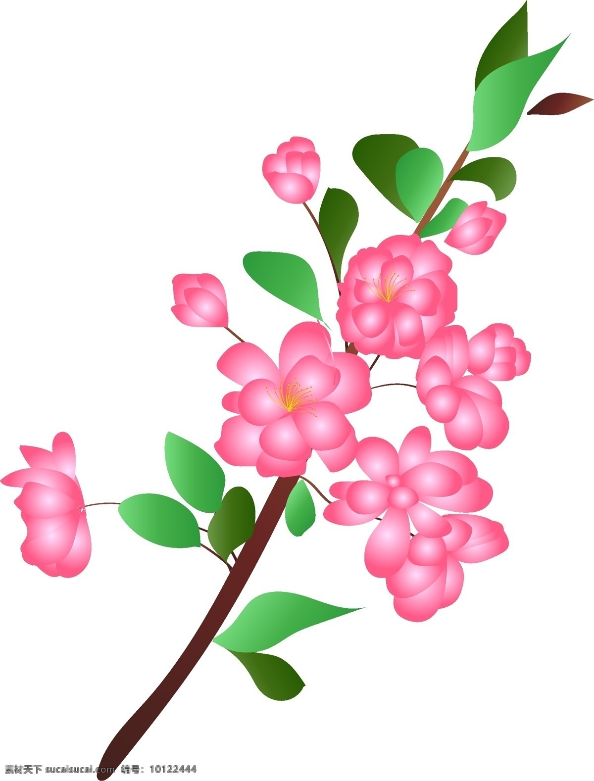 卡通 免 扣 粉色 花朵 花卉 玫瑰 盛开 梅花 腊梅 手绘 粉色花 水墨桃花盛开 中国风 背景 免扣