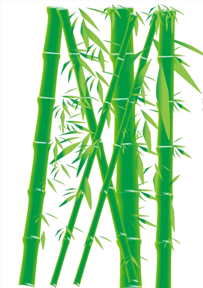 矢量竹子 竹子 矢量 插画 写实 贴图 纹理 展板模板