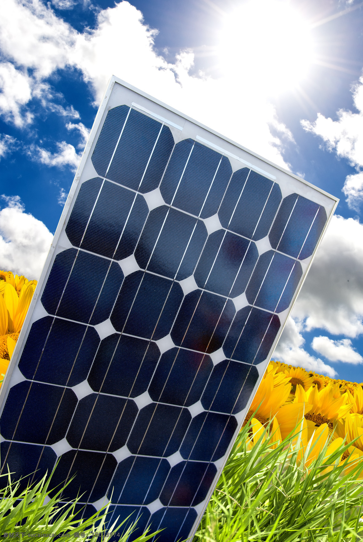 草地 花田 间 太阳能 集热 板 绿草 太阳能集热板 其他类别 环境家居