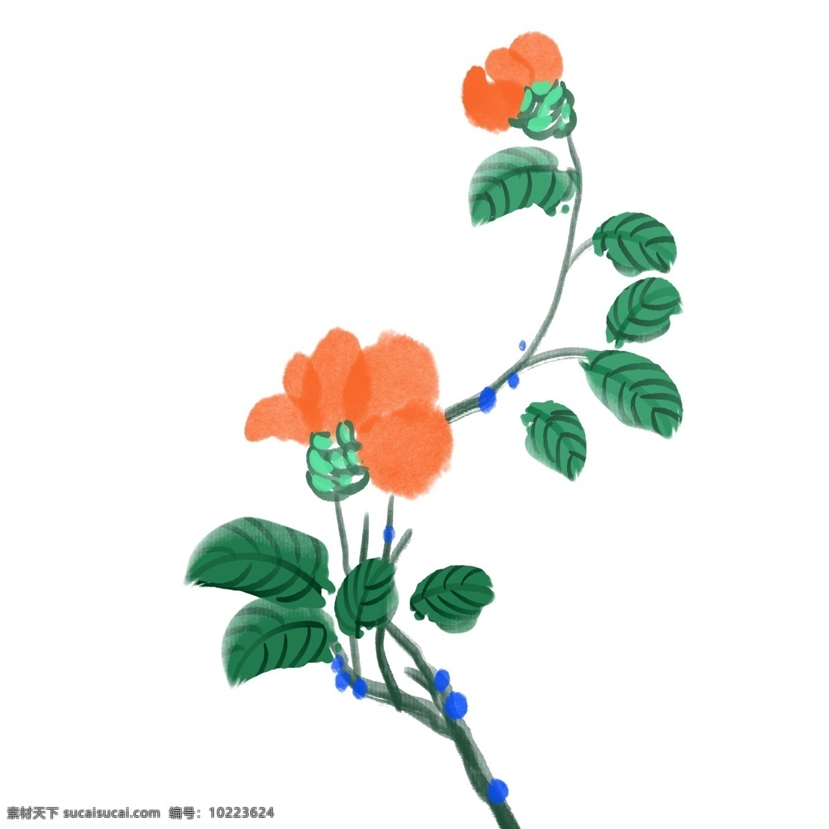 橙色 山茶花 装饰 叶子 小花 植物