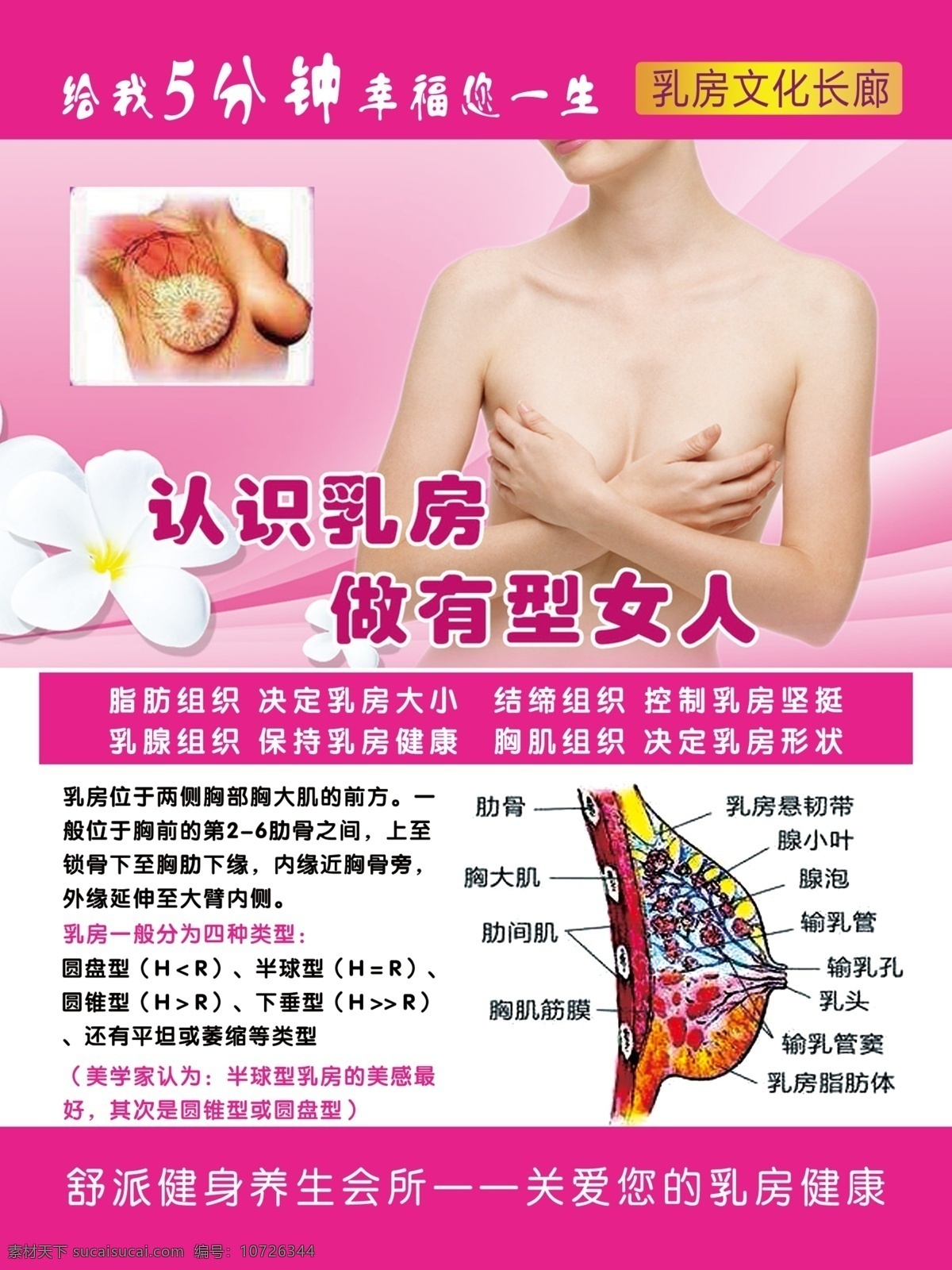 乳房健康展板 乳房 健康 海报 展板 乳房健康 乳房海报展板 认识乳房 美容海报展板 养生海报展板