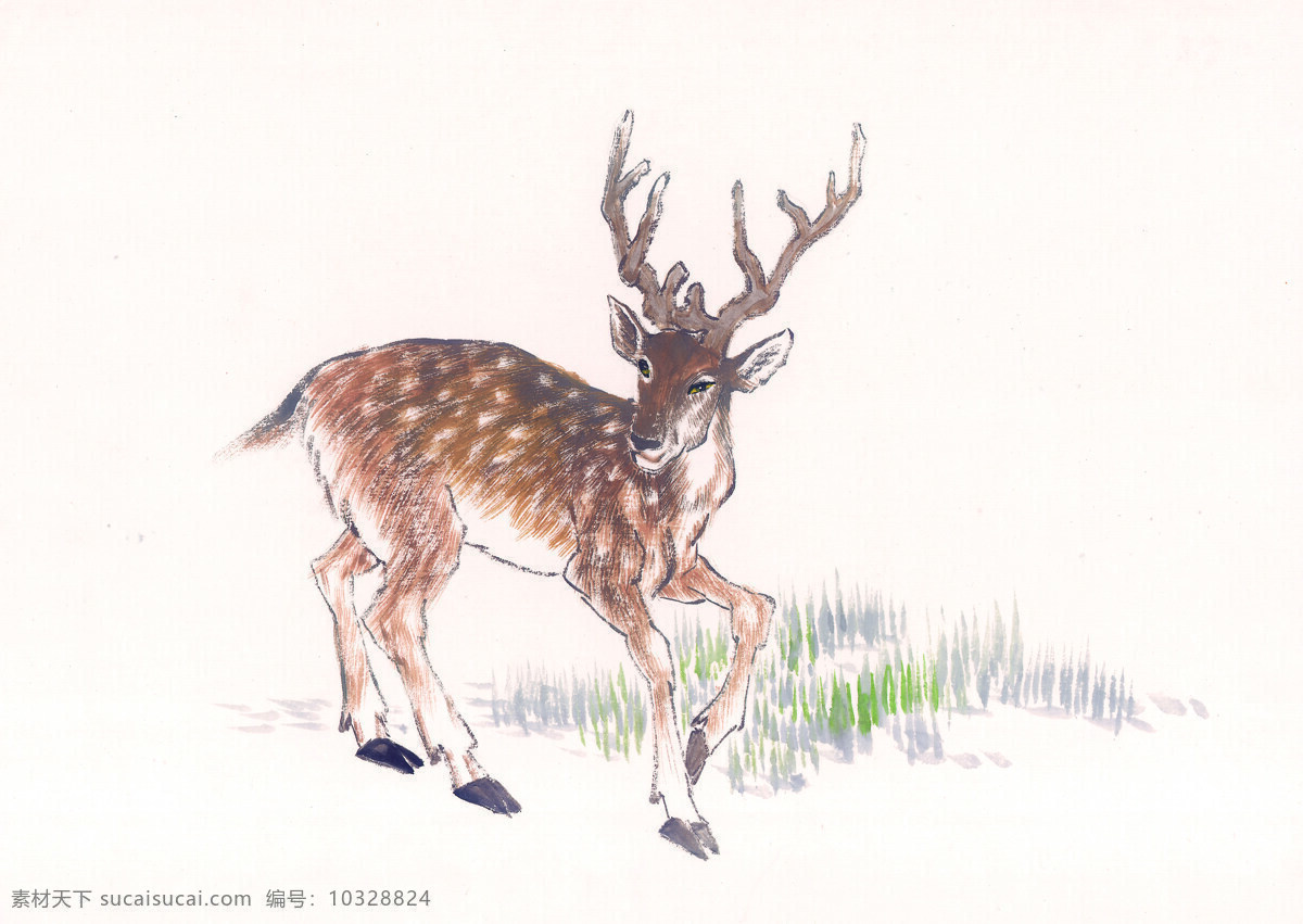 中国国画篇 动物 国画 水墨 工笔 鹿 草 鹿角 中国 篇 文化艺术 绘画书法