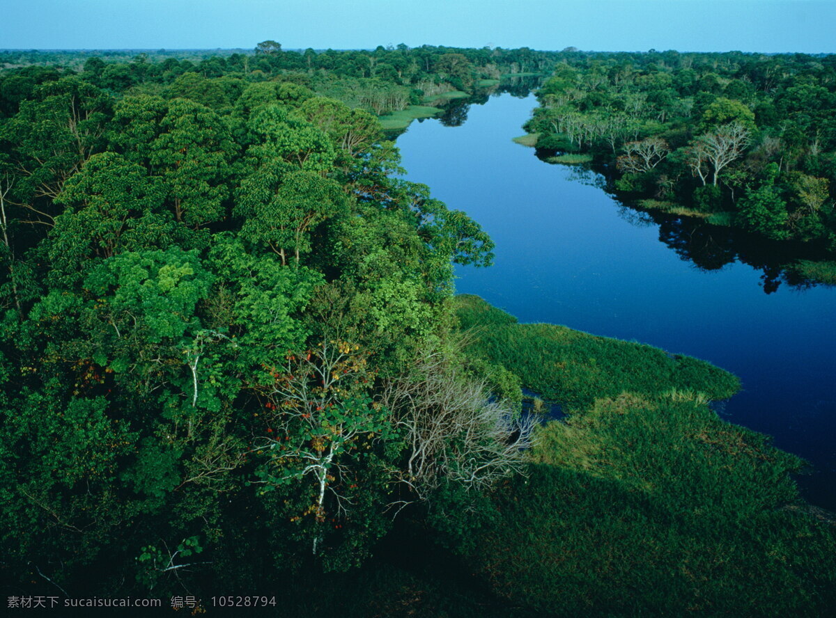 亚马逊河 南美洲 巴西 河流 热带雨林 原始森林 自然风景 自然景观