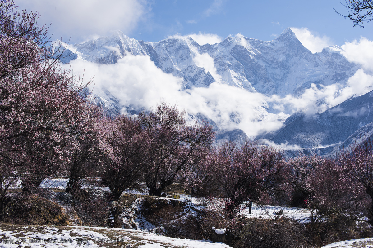 雪山美景 藏区风光 雪域高原 雪山 山脉 树林 山谷 自然景观 山水风景