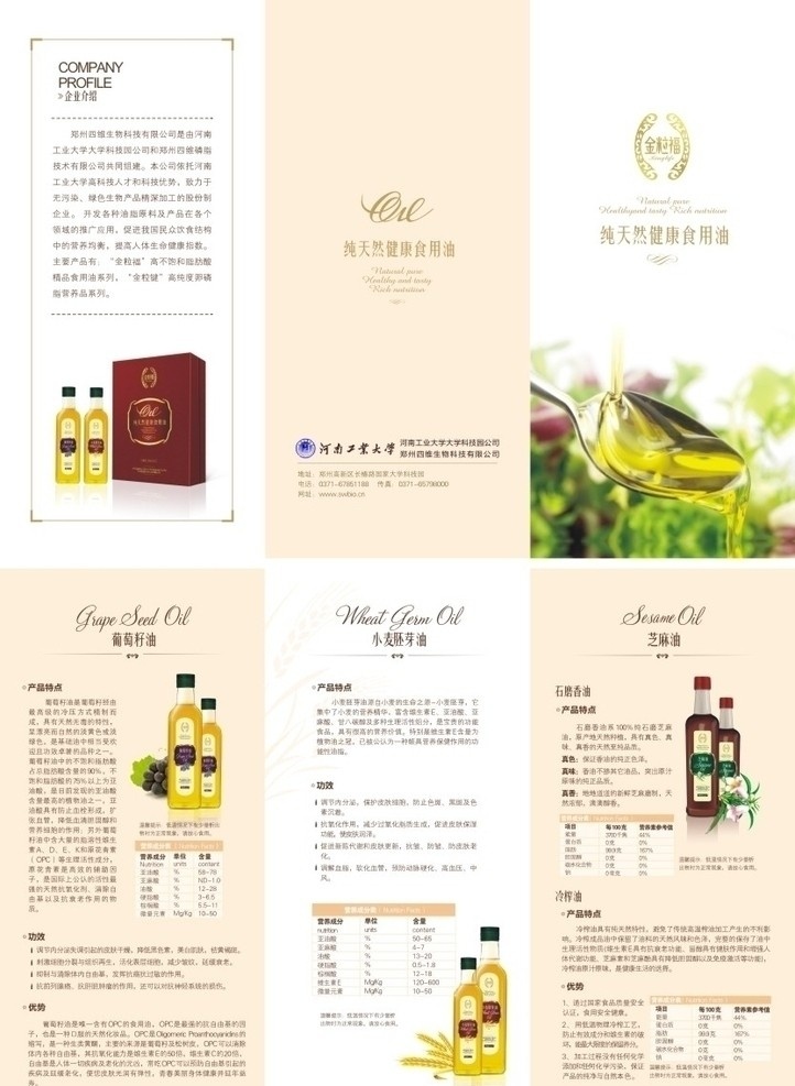 金粒福三折页 金粒福 三折页 食用油 油类 油脂 卫生标准 矢量 高清 印刷质量 生活百科