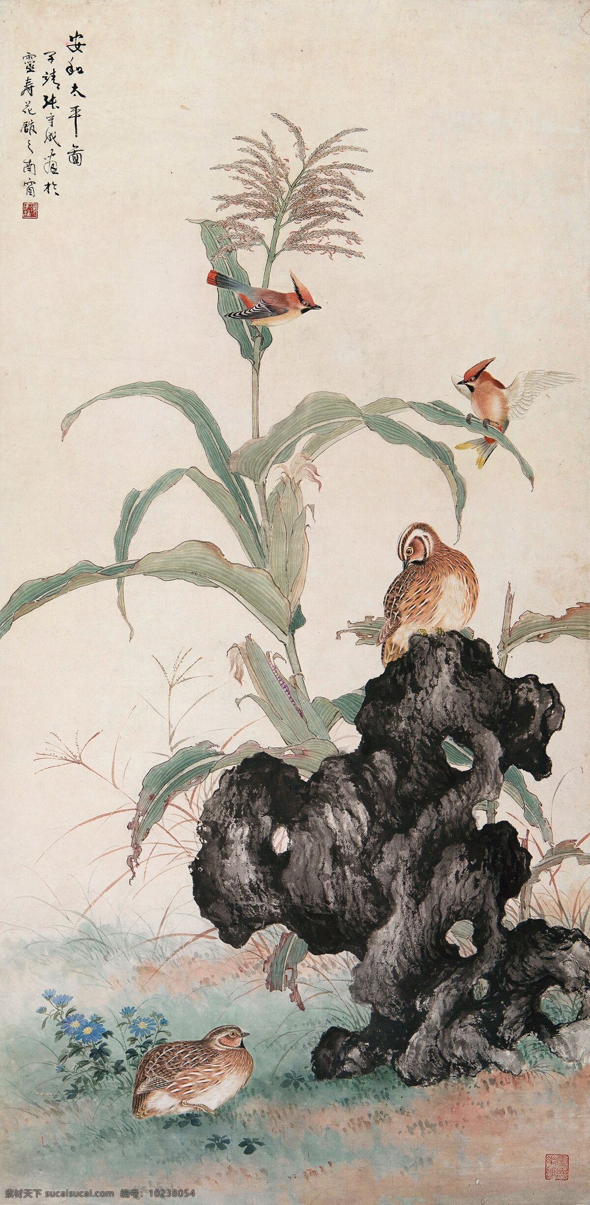 安和太平图 张守成作品 玉米 奇石 翠鸟 松鸡 中国古代画 中国古画 文化艺术 绘画书法