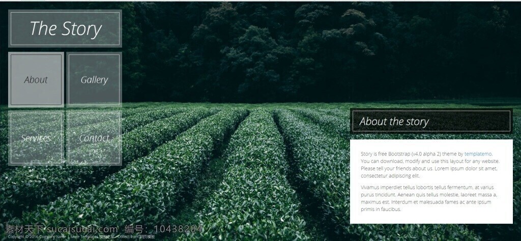 绿色 茶庄 网页 html 时尚 动态 htmlcss 黑色