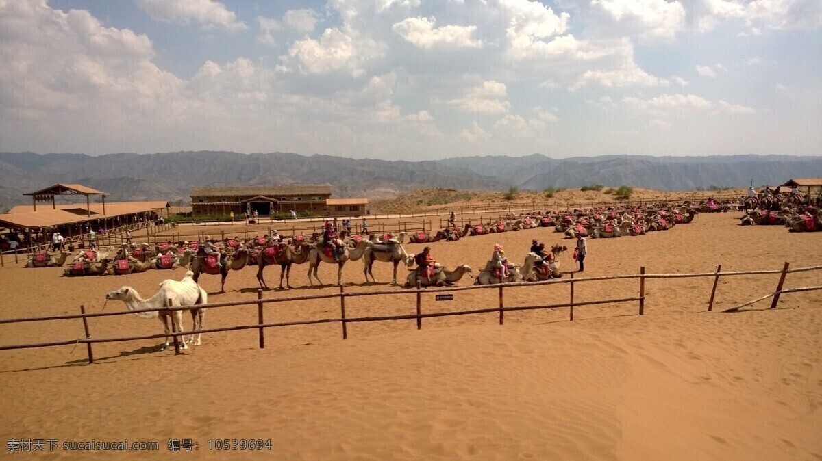 宁夏 中卫 沙坡头 黄河 腾格里沙漠 骆驼 旅游摄影 国内旅游