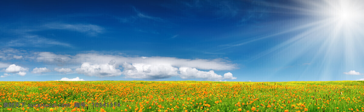 美丽大草原 草原 草地 平原 绿地 绿草 青草 美丽风景 草原风景 蓝天白云 鲜花 花朵 自然风景 自然景观 蓝色