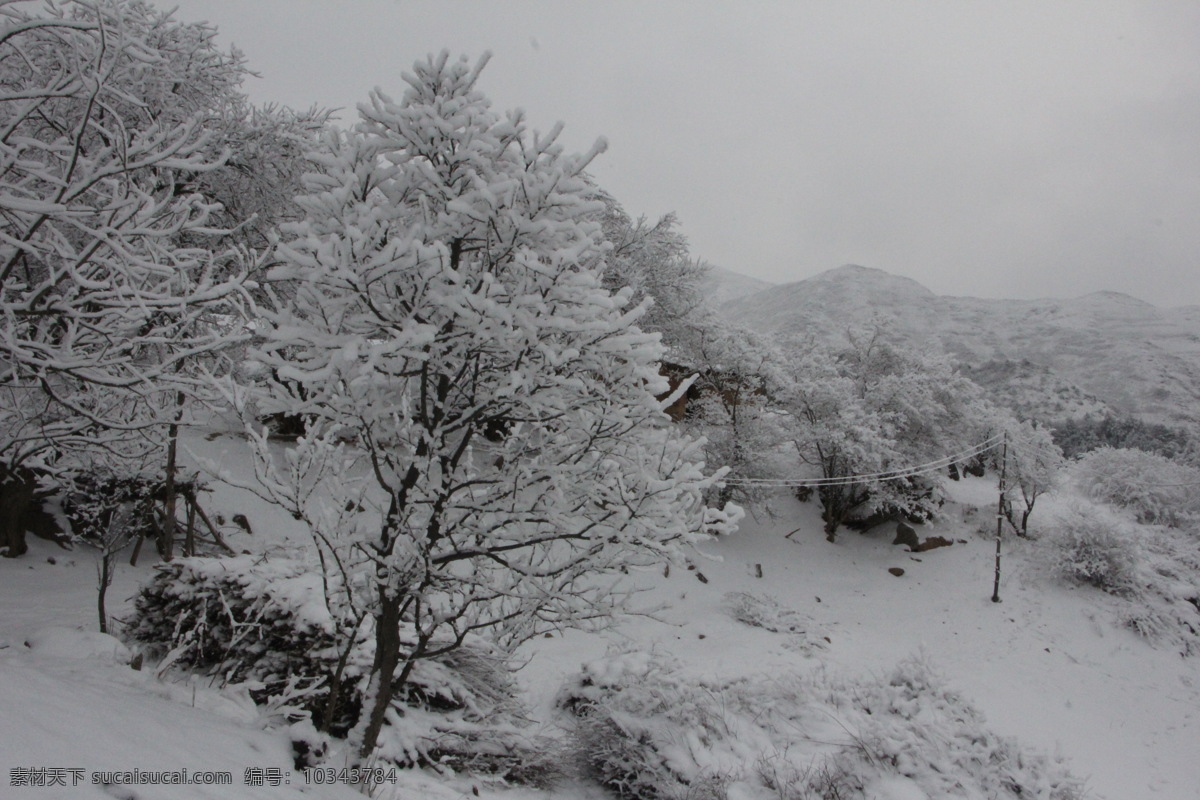 雪景 白雪 冬天 冬景 美景 雪山 雪树 自然风景 自然景观