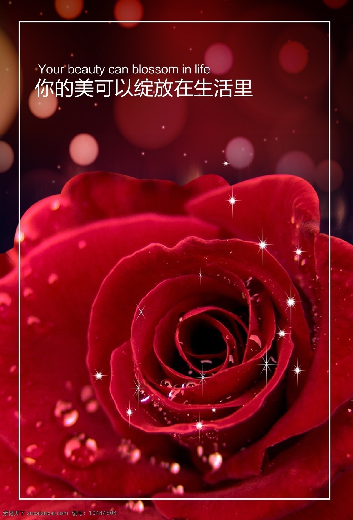 玫瑰海报 玫瑰 女人 美丽 激励 鼓励 浪漫 爱情 唯美