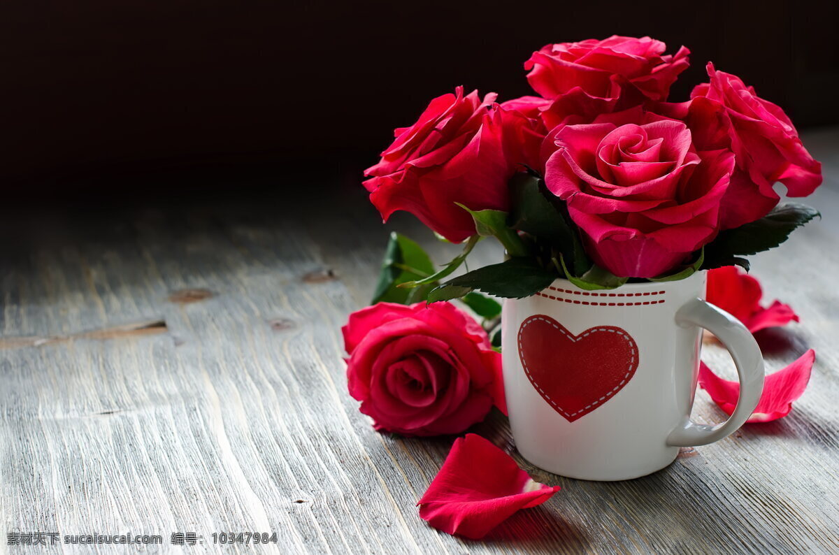 唯美 红玫瑰 花 插花 火玫瑰 爱情花朵 静物花朵 鲜花