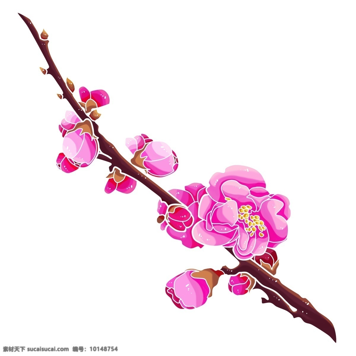 冬季 唯美 梅花 元素 手绘 精细