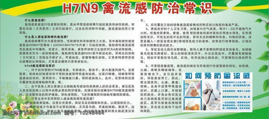 h7n9 背景 常识 传染病 春天 底纹 花朵 环保 禽流感 防治 常 矢量 模板下载 预防 宣传栏 展板 症状 防控 知识 绿色 校园 教育 健康 绿叶 活动 模板 展板模板 其他展板设计