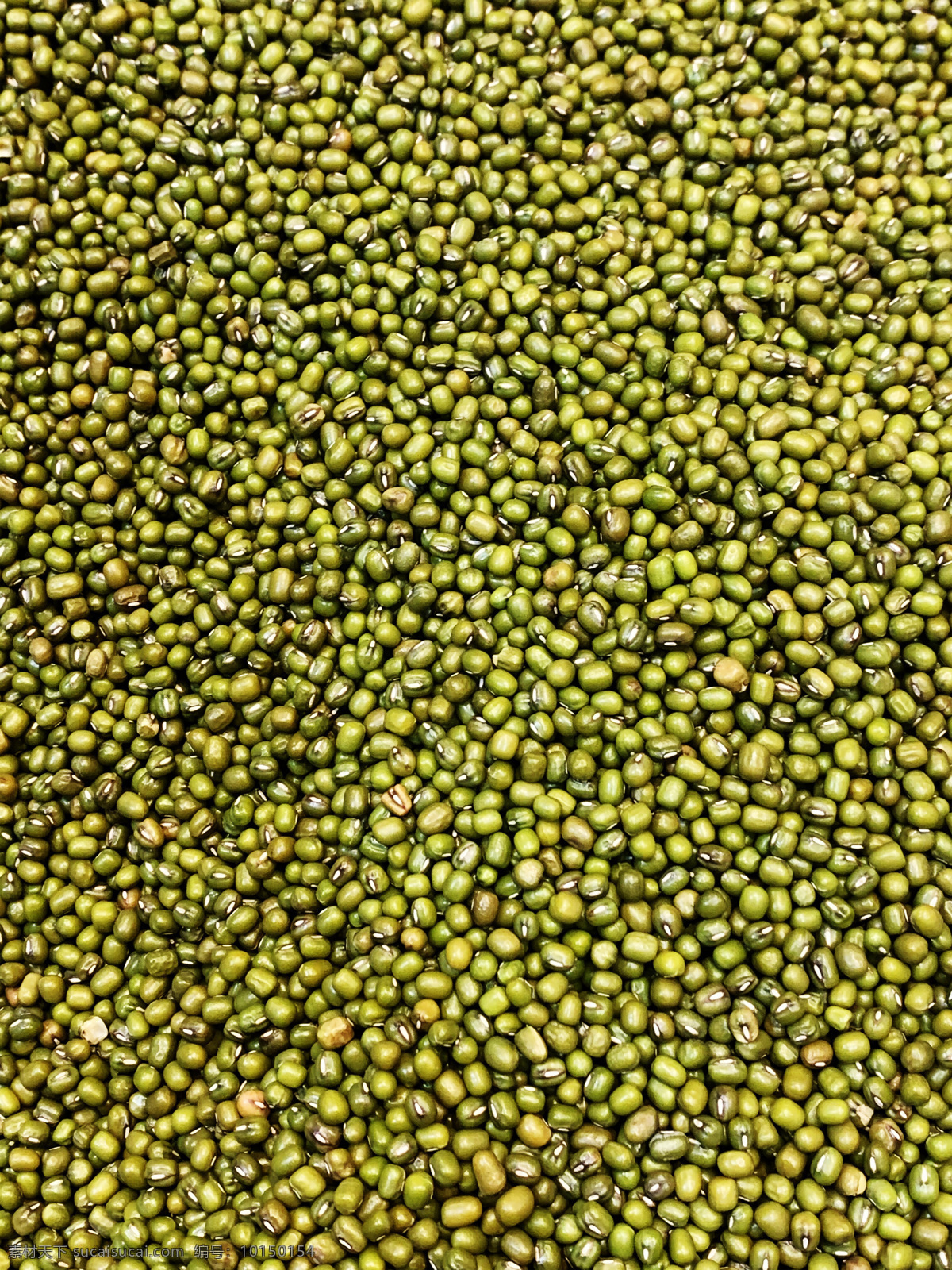 绿豆图片 豆 豆子 绿豆 五谷杂粮 干货 农产品 农家豆子 生物世界 蔬菜