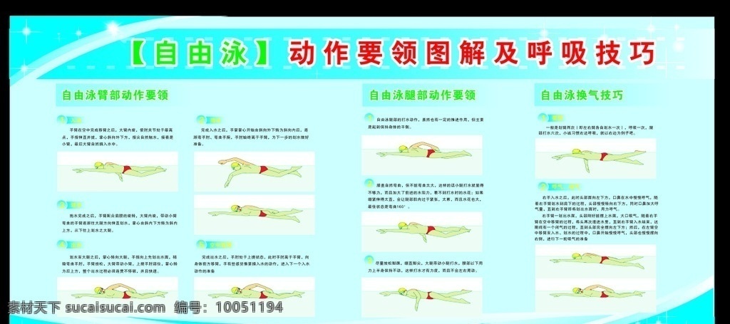 自由泳 动作 图解 自由泳动作 自由泳图解 游泳馆 游泳技巧 自由泳技巧 游泳教学 游泳展板 矢量图 展板模板