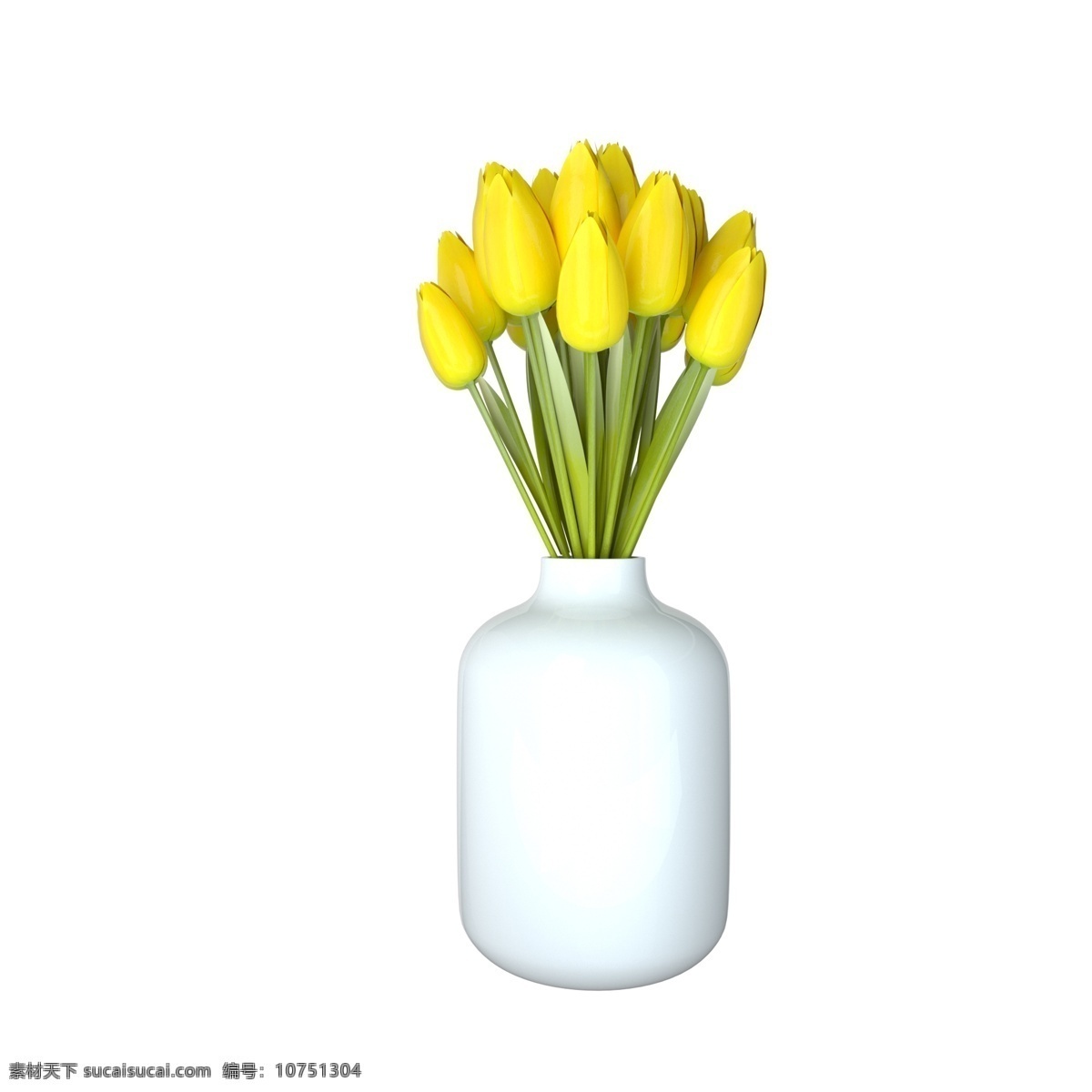 3d 植物 盆景 花卉 c4d 写实 家居 家具 家居生活馆 家装节 花朵 装饰 白色花瓶 瓷花瓶