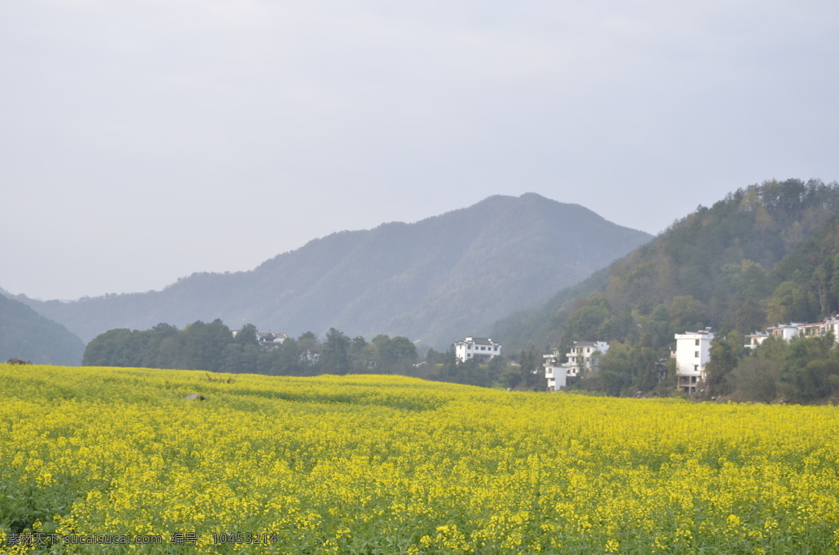 婺源风光 婺源风景 乡村自然风光 婺源 油菜花 婺源摄影 婺源游记 江西婺源 乡村摄影 古镇 小镇 乡村 田园风光 古徽州 风景 江西风景 婺源油菜花 旅游摄影 国内旅游