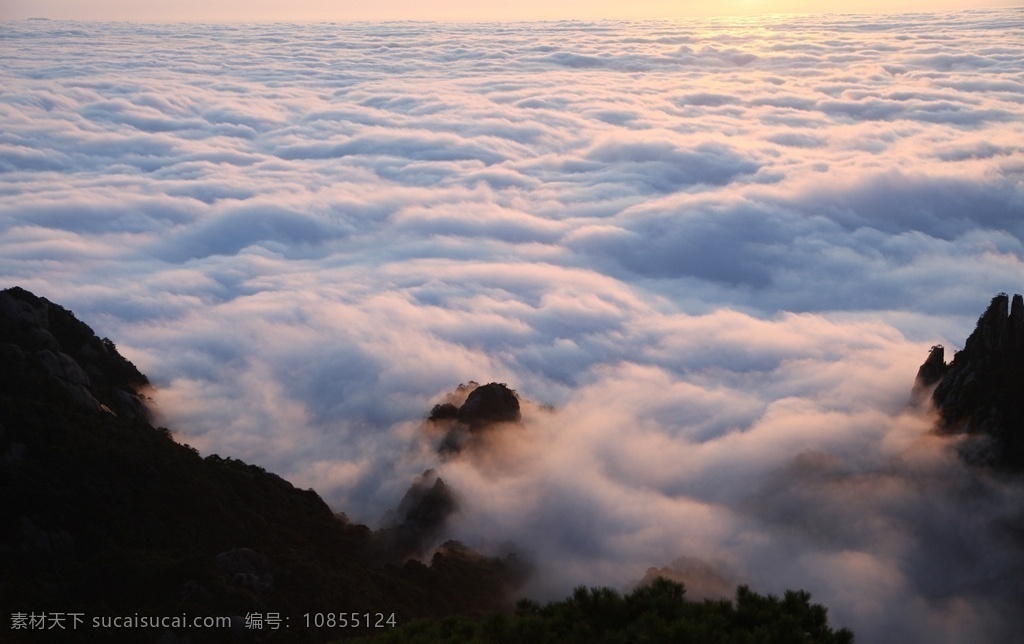 黄山云海 黄山日出 日出 初升的太阳 唯美的太阳 黄山风光 黄山旅游 黄山美景 旅游 云海 松树 高山 风景名胜 自然景观 安徽黄山 黄山秋色 黄山 安徽旅游景点 黄山景色 黄山山峰 山峰