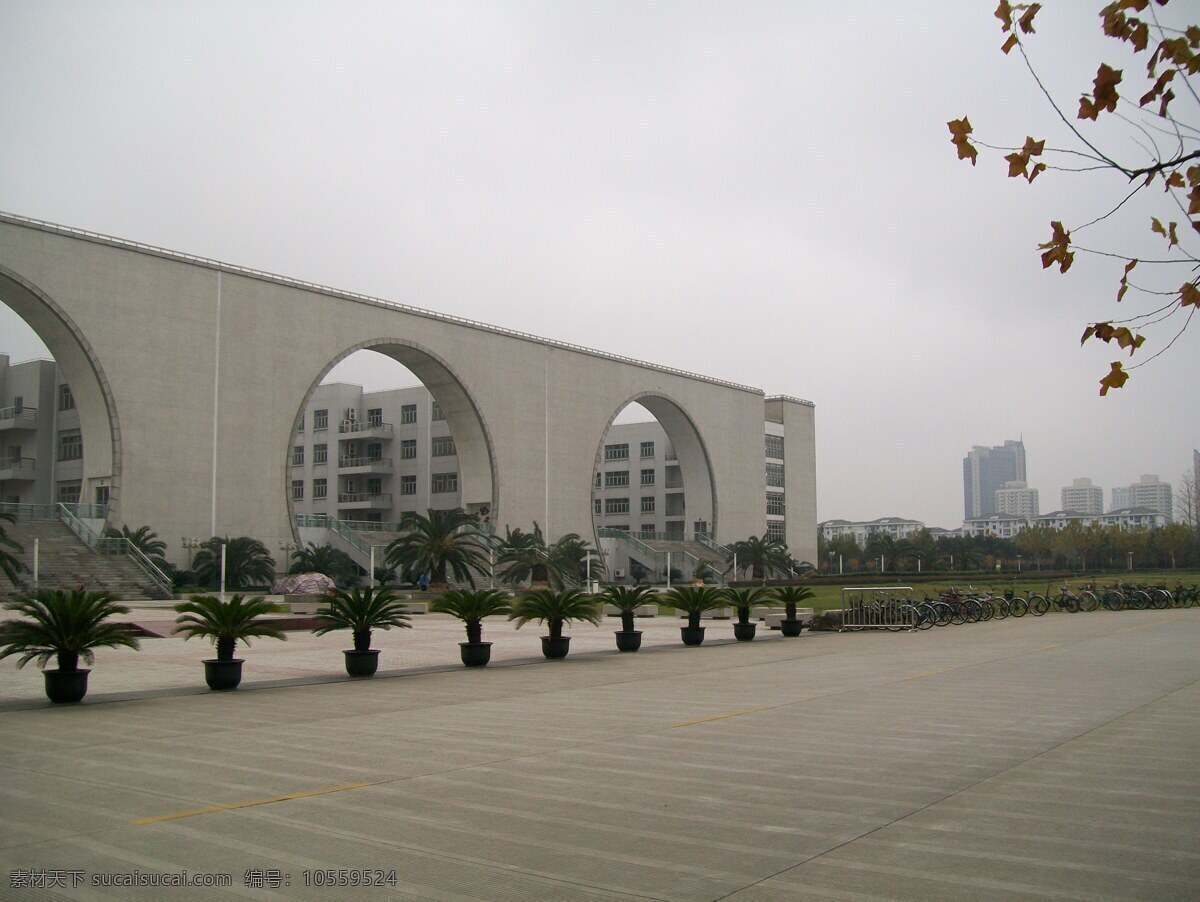 国内旅游 建筑 旅游摄影 欧式 图书馆 梧桐树 校园 外贸 学院 外贸学院 上海对外贸易学院 对外贸易 松江 松江大学城 矢量图 日常生活