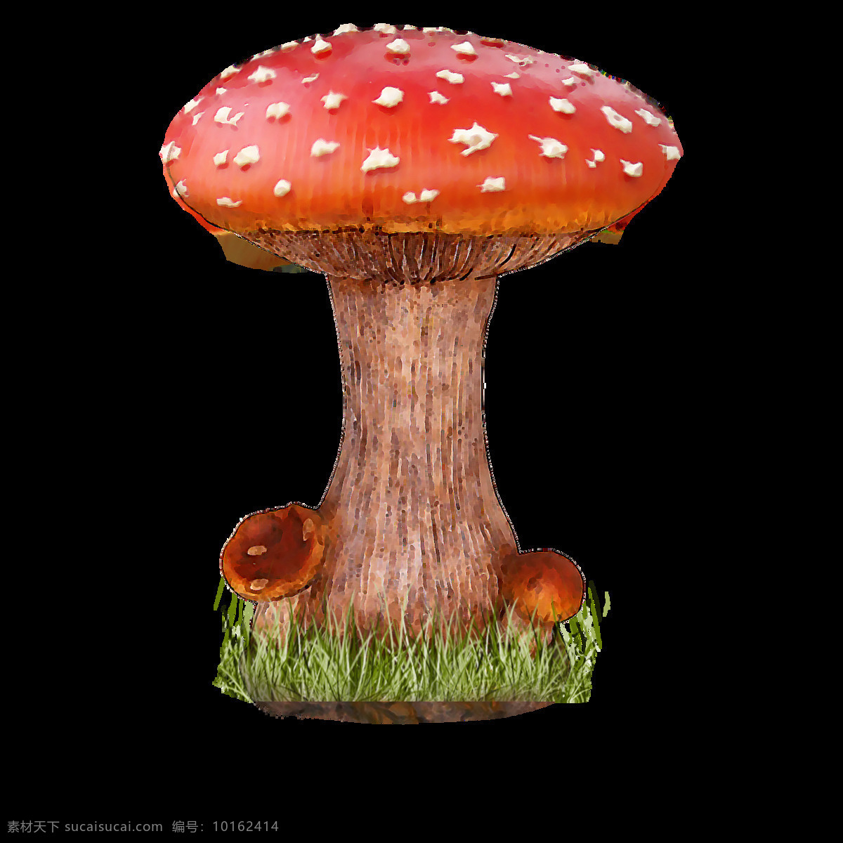 植物素材 植物 蘑菇图片素材 大自然素材 蘑菇 红色