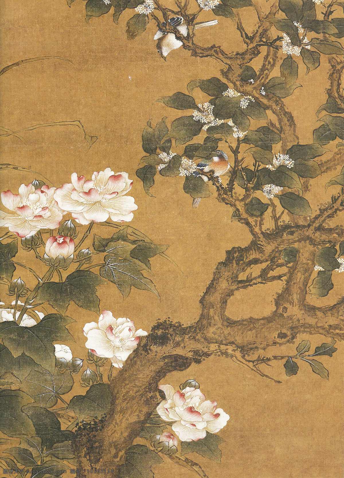 芙蓉 桂 鹭 图 轴 局部 胡湄 芙蓉桂鹭图轴 国画 工笔 婺源博物馆 绘画书法 文化艺术