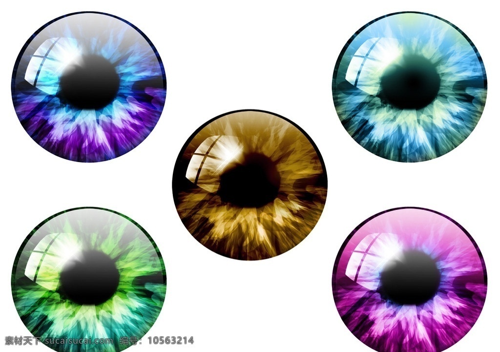 五 款 眼睛 分层 精美眼睛 卡通眼睛 创意眼睛 眼球 漂亮的眼睛 设计素材 眼睛图片 psd素材 集 源文件
