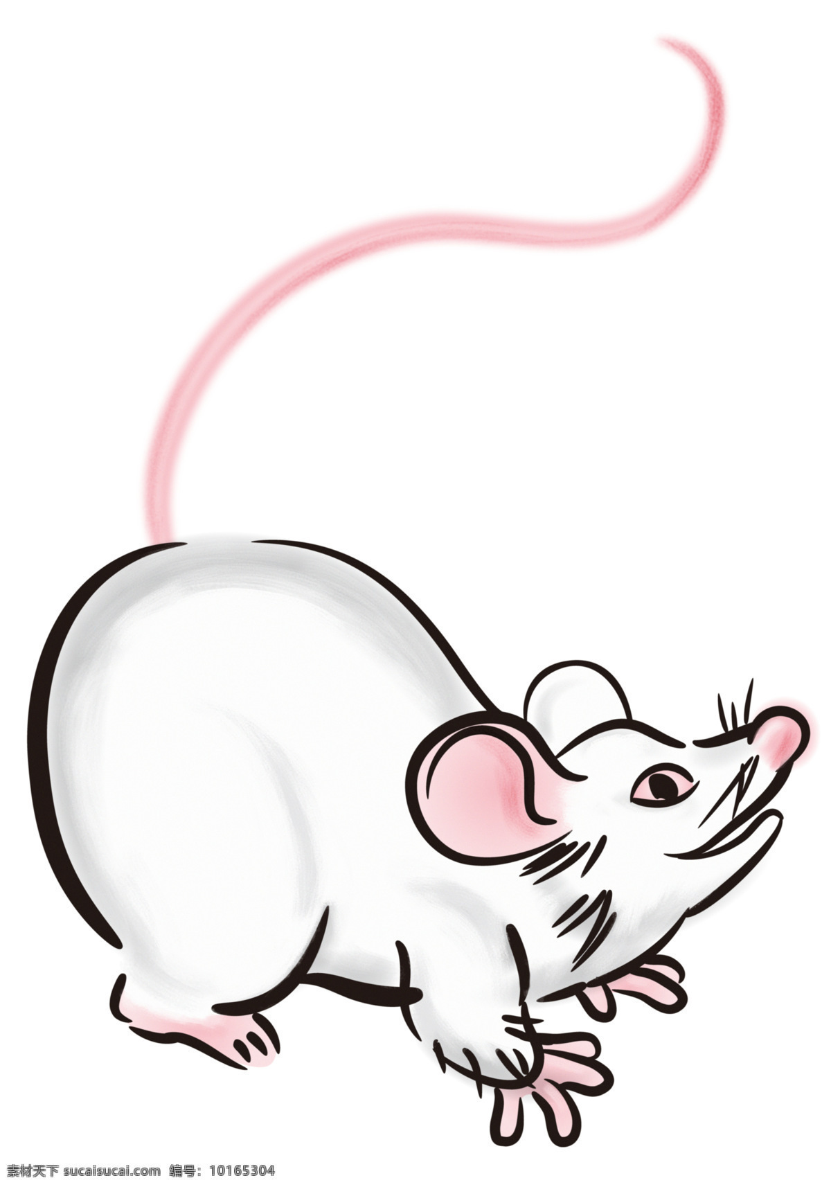 老鼠 鼠 鼠年 可爱 卡通 漫画 过年 生肖鼠 动漫动画
