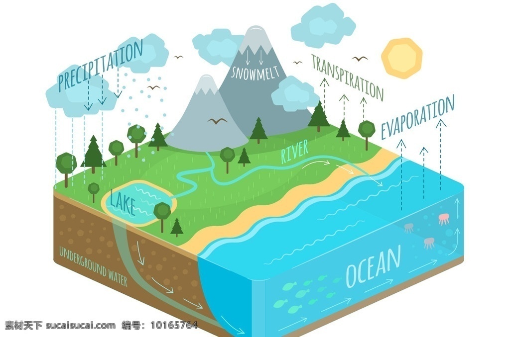 水循环示意图 水 气态 液态 山 草地 循环 下雨 湖畔 河水 自然景观
