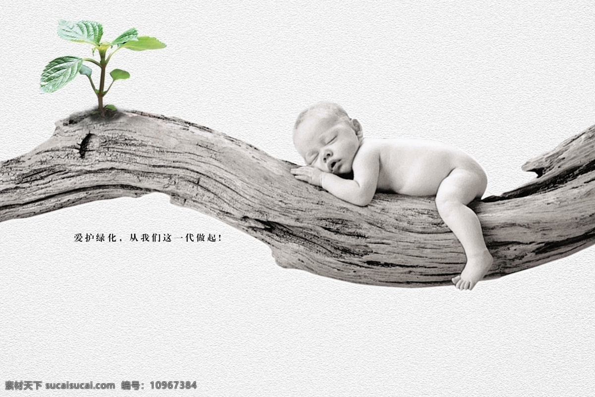 爱护环境 保护生态 爱护绿色 树杆 发芽 生长 朽木 小孩 宝宝 睡觉 安静 和谐中国