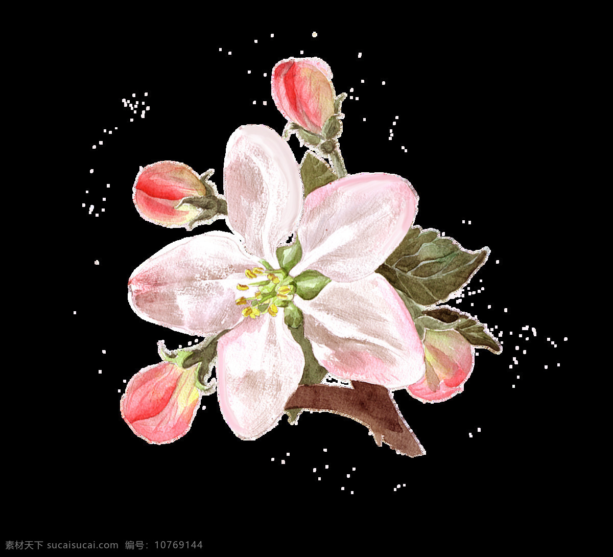 红 白 桃花 卡通 透明 花叶 红色 透明素材 免扣素材 装饰图案