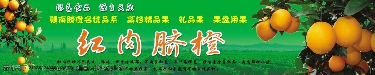 红肉脐橙海报 门头 招牌 牌匾 广告 绿色食品 橙子礼品果 广告设计模板 源文件