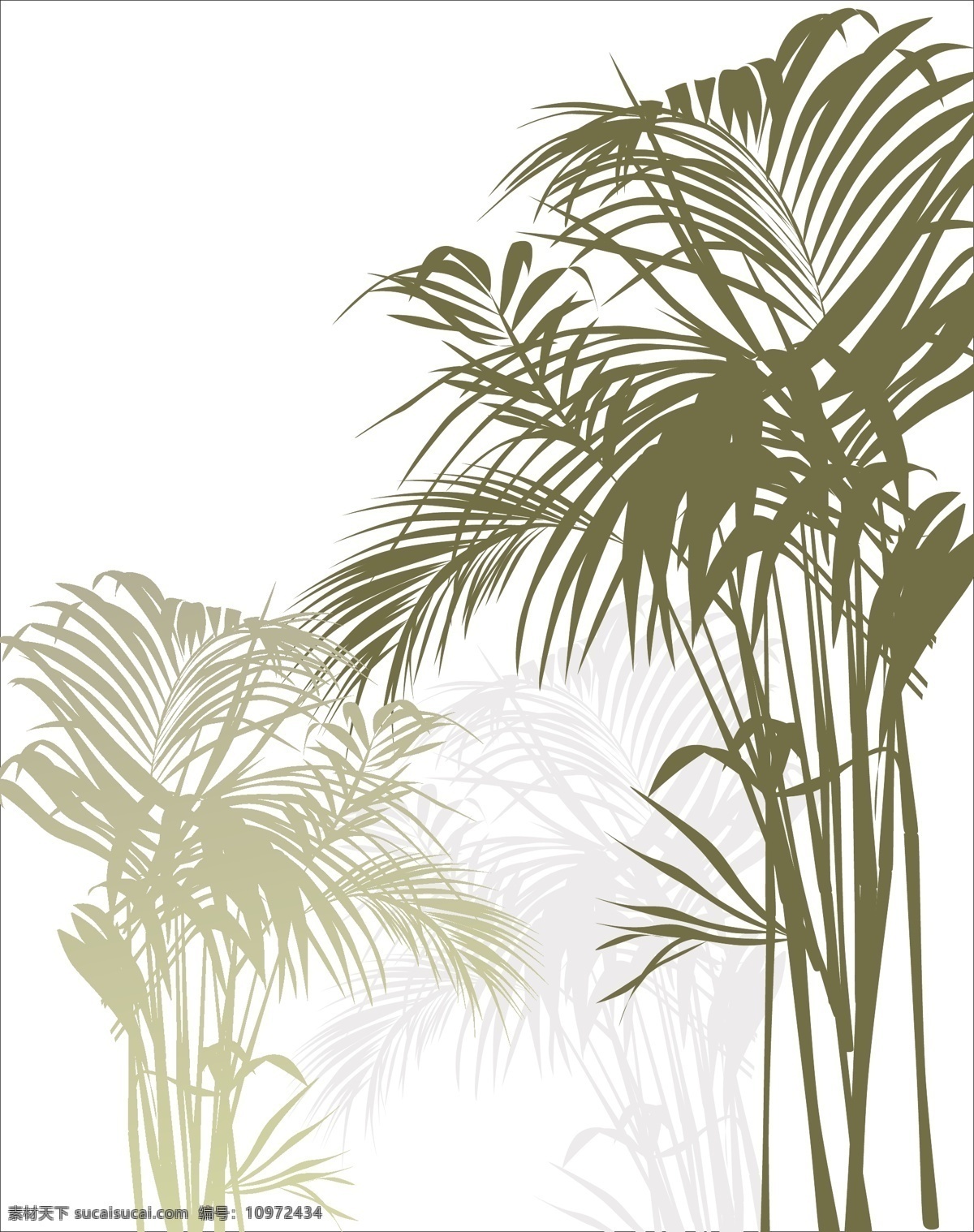 热带 丛林 植物 插图 矢量 矢量素材 设计素材 绿色