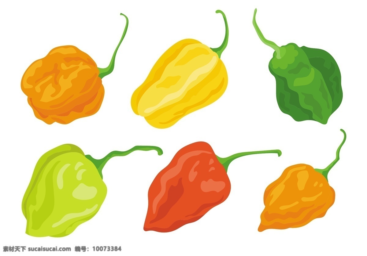 手绘 辣椒 矢量 手绘辣椒 蔬果 手绘蔬菜 矢量素材 手绘植物 辣椒素材 矢量化辣椒