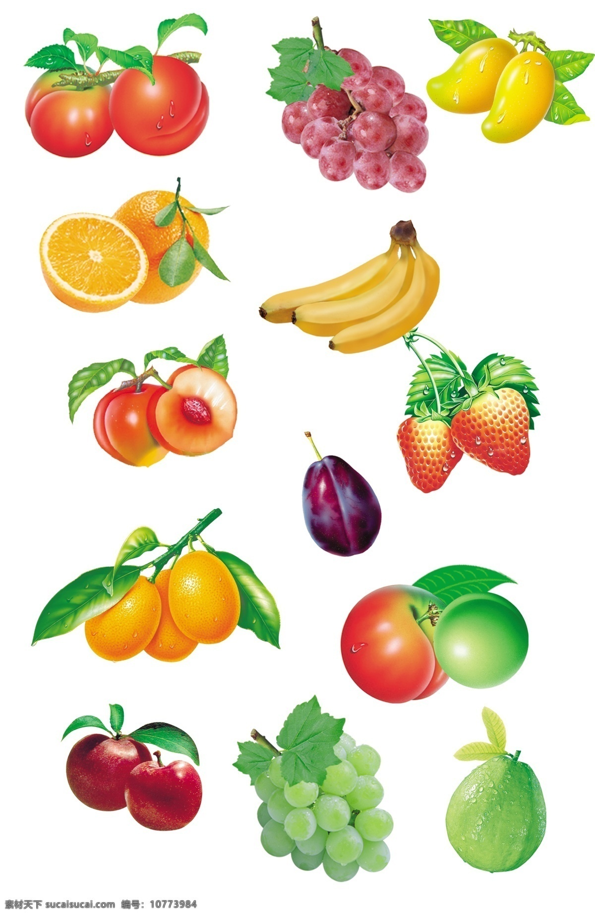 水果 集合 草莓 金桔 桔子 李子 芒果 葡萄 青梅 石榴 桃子 香蕉 西梅 psd源文件