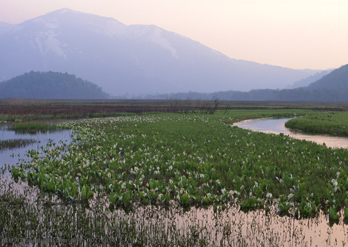 乡村 风景摄影 美丽风景 风光 景色 树木 森林 田园 农田 稻田 雪山 山峰 花草树木 自然景观 山水风景 四季风景 风景图片