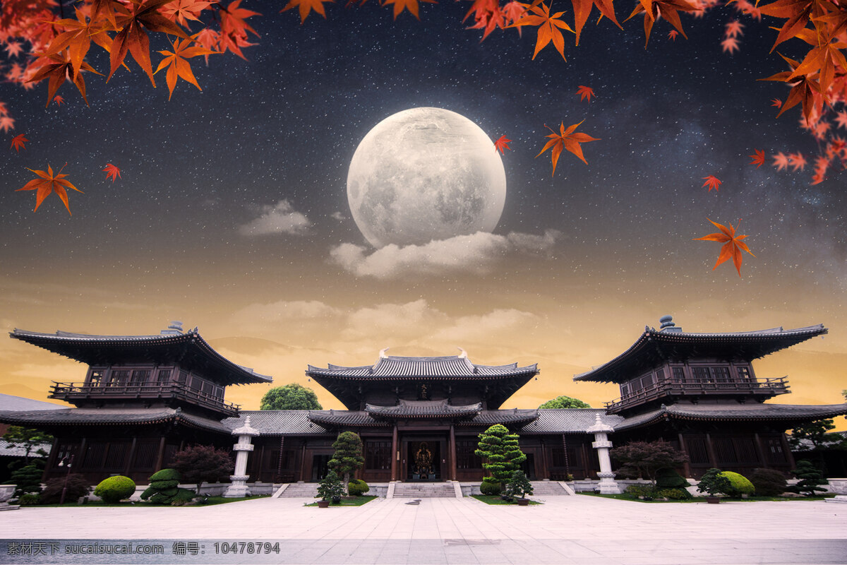 中秋赏月 中秋素材 月亮 圆月 明月 传统节日