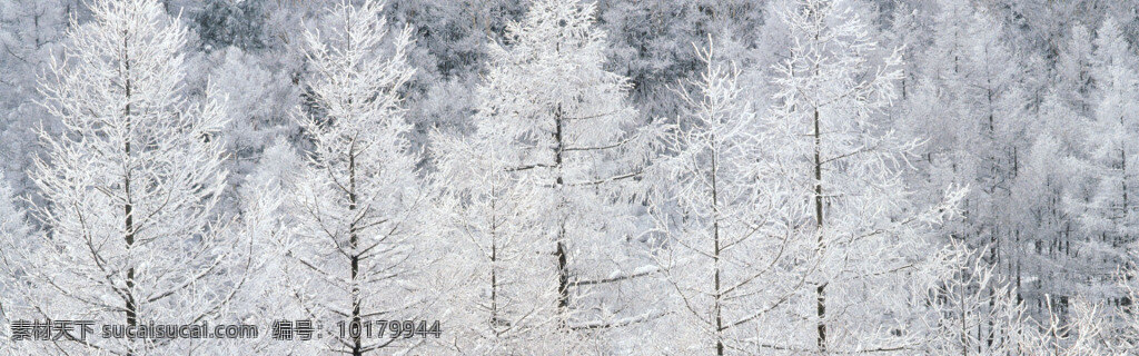 雪山 雪景 背景 白色 唯美朦胧