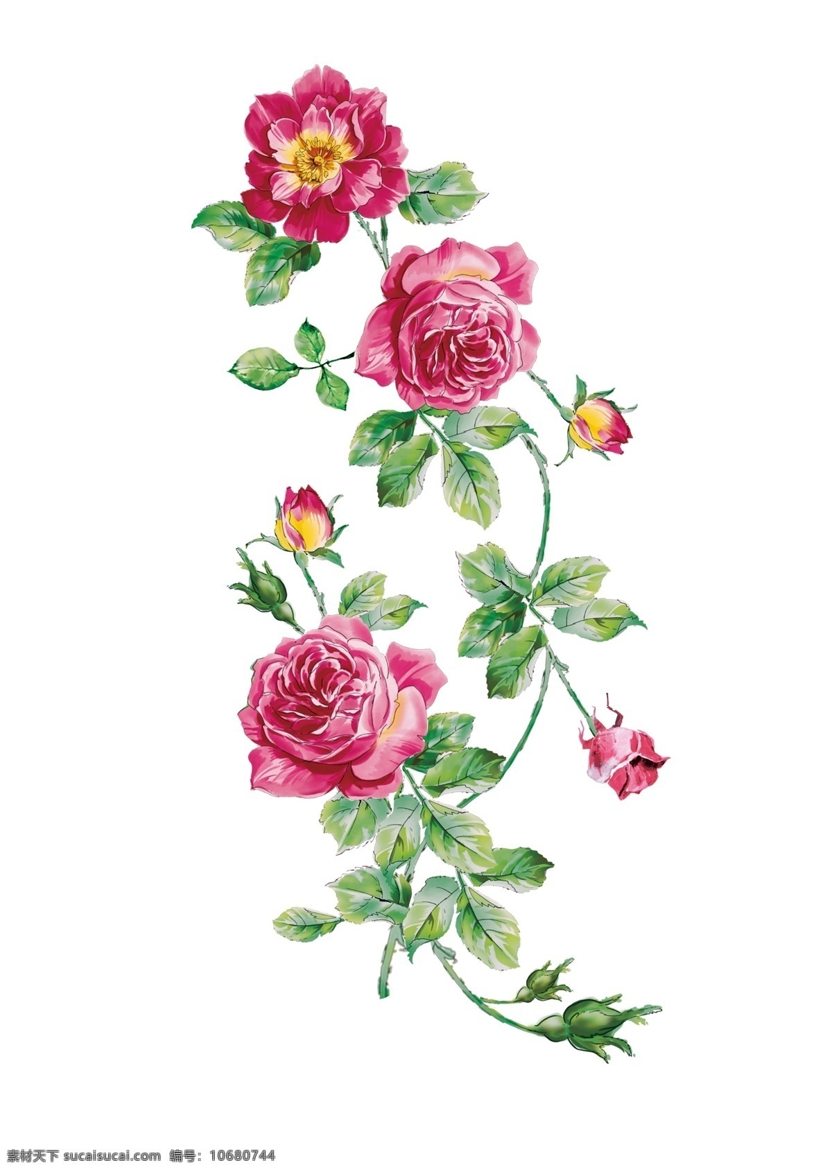 玫瑰花 手绘循环花 印花底纹 玫瑰 花 手绘 循环花 印花 底纹 服装图案 分层