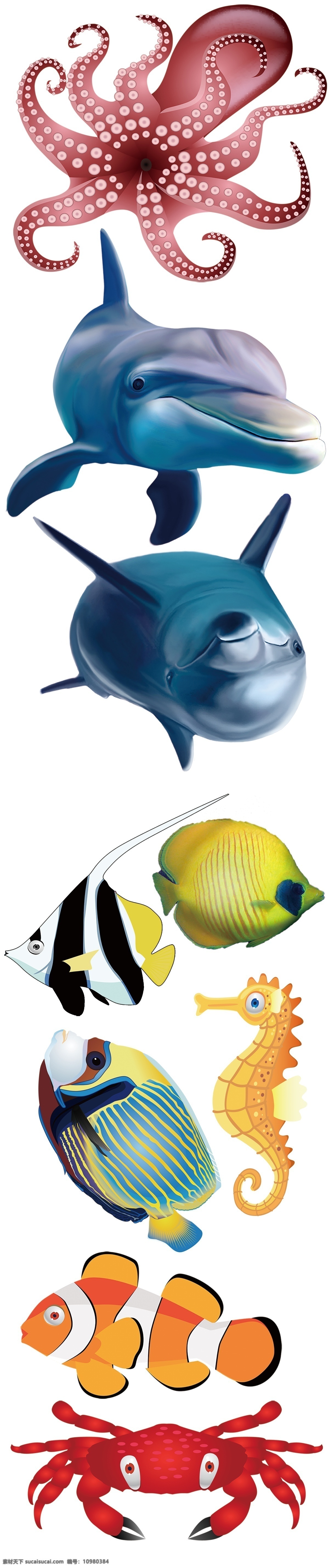 海洋动物 海洋 动物 鱼 蟹 海底 dm宣传单