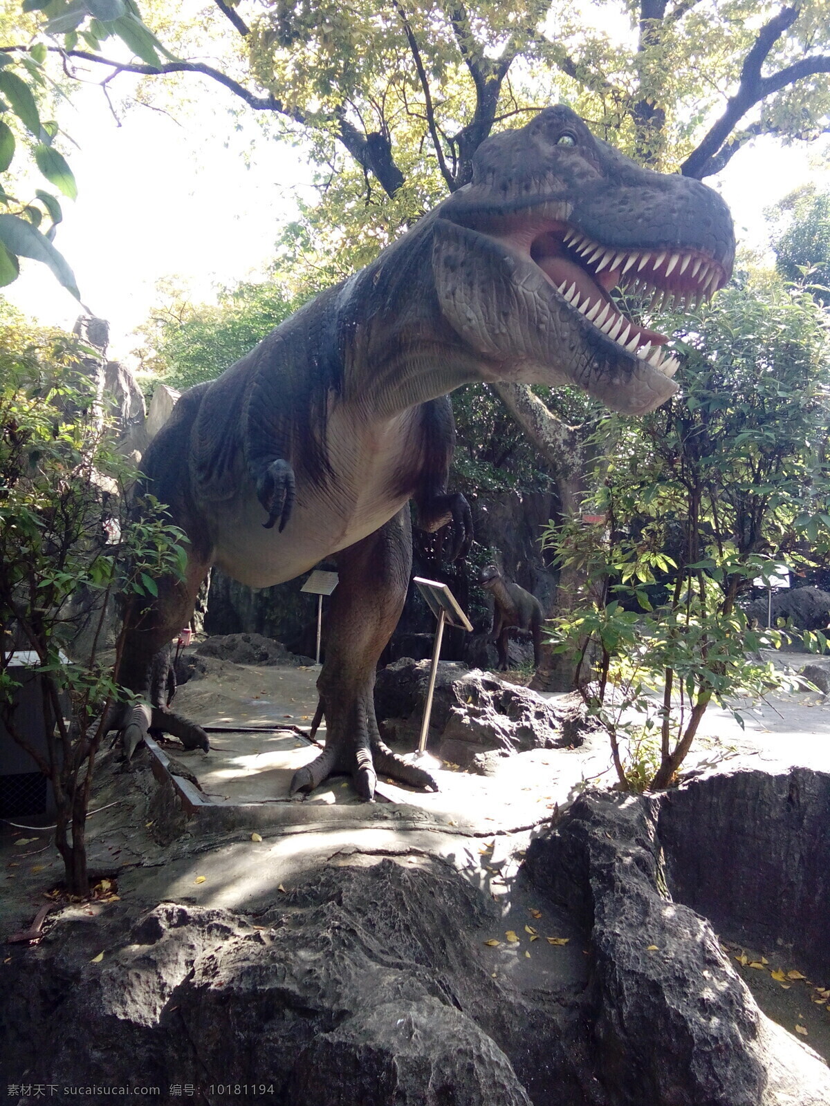 侏罗纪公园 恐龙 侏罗纪 大观楼 公园 霸王龙 生物世界 其他生物