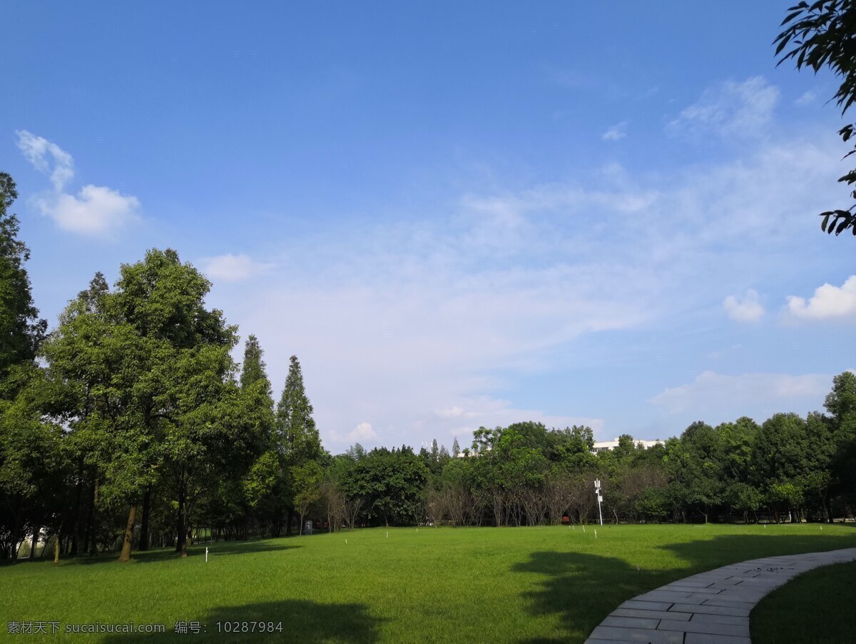 蓝天白云 草坪 草地 绿色 绿草地 草地背景 草地蓝天 清新 清爽 小草草坪 绿茵草坪 人工草坪 植被 大树 树阴 楼房 道路 落叶 公园 风光 旅游 景点 园林 自然风景 花草树木 花类 生物世界 花草 自然景观