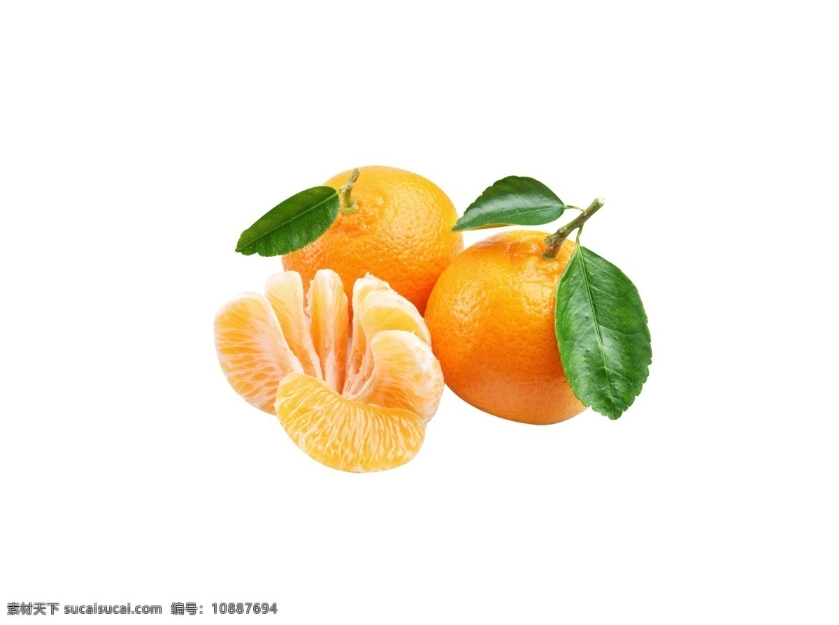 柑橘 矢量素材 水果 手绘 水果大全 新鲜水果素材 矢量水果素材 矢量 水果素材 新鲜水果 矢量水果 写实水果 橙子 矢量橙子 橙子素材 橙子切片 切开的橙子 脐橙 新鲜橙子 橙子大全 柠檬素材 矢量柠檬 新鲜柠檬 柠檬 青柠檬 橘子 橘子素材 新鲜橘子 水果大丰收