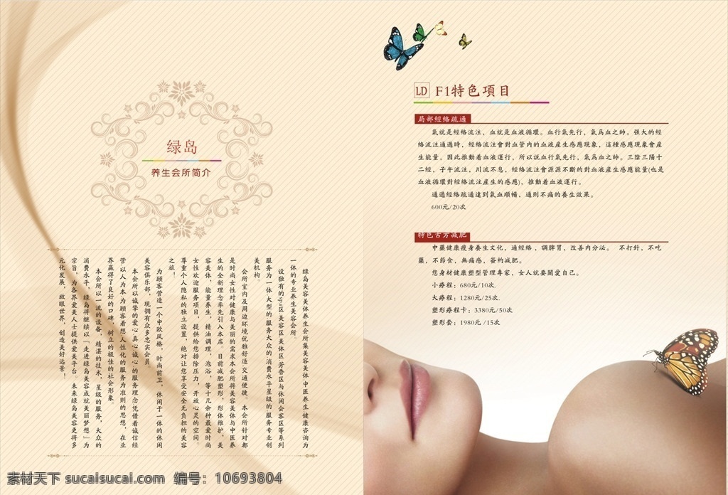 美容院 项目 手册 美容手册 化妆品 养生 中医 美容养生 画册设计